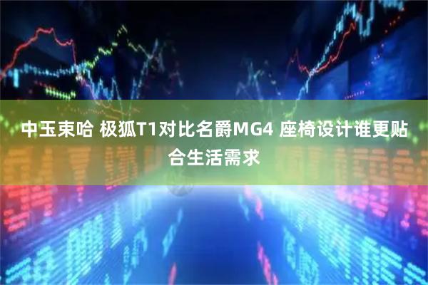 中玉束哈 极狐T1对比名爵MG4 座椅设计谁更贴合生活需求