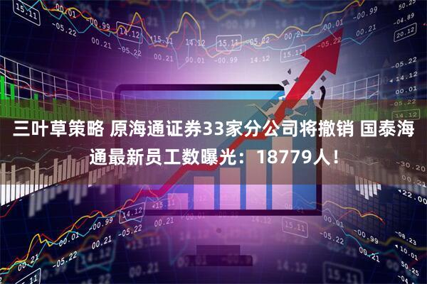 三叶草策略 原海通证券33家分公司将撤销 国泰海通最新员工数曝光：18779人！