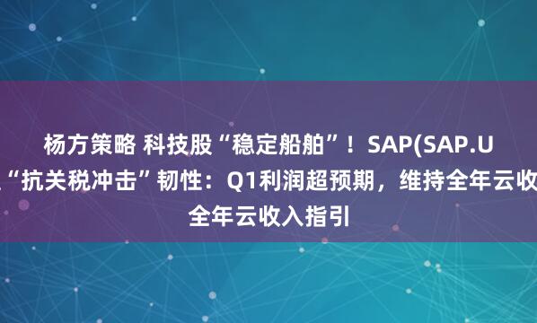 杨方策略 科技股“稳定船舶”！SAP(SAP.US)彰显“抗关税冲击”韧性：Q1利润超预期，维持全年云收入指引