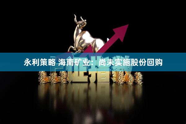 永利策略 海南矿业：尚未实施股份回购