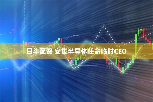 日斗配资 安世半导体任命临时CEO
