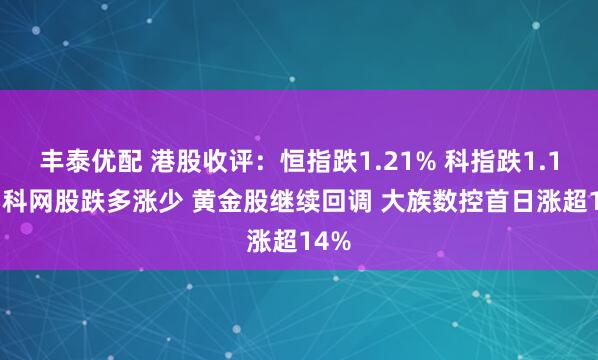 丰泰优配 港股收评：恒指跌1.21% 科指跌1.11% 科网股跌多涨少 黄金股继续回调 大族数控首日涨超14%