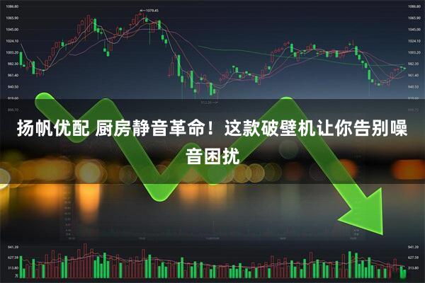 扬帆优配 厨房静音革命！这款破壁机让你告别噪音困扰
