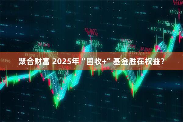 聚合财富 2025年“固收+”基金胜在权益？