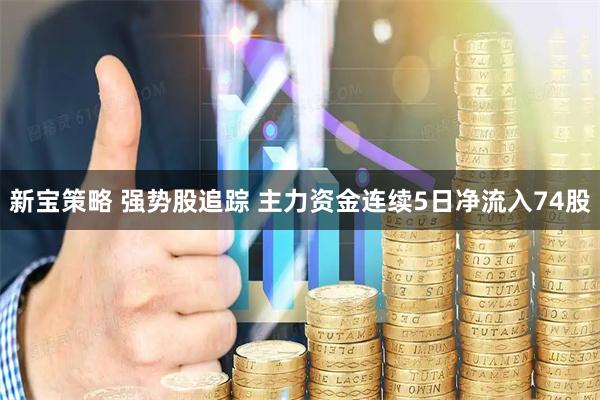 新宝策略 强势股追踪 主力资金连续5日净流入74股